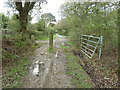 Byway Chiddingly 61b near Chalvington Stud Farm