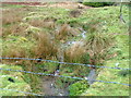 Moorland stream, Senghenydd