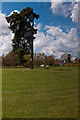 Bowl barrow, Earlswood Common