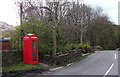 Telephone box at Yemans Bridge, Edale