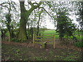 Stile on the footpath to Eskham