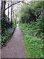 Path through to the cricket field