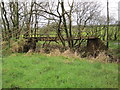 Footbridge over Bailey Water