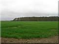 Farmland, Willoughby Gorse