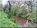 Mill Stream near Dovecliff Hall