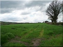 SE2417 : Farmland above Briestfield Beck by Christine Johnstone
