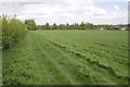 Footpath from Letcombe Bassett to Letcombe Regis