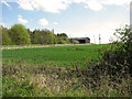 View towards Hundon Hall Barn