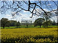 Springtime view from Mathern Road, Chepstow