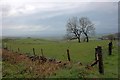 Field near Naychurch