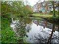 Branch of the River Wandle