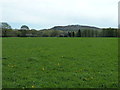 Field view to Hurst Farm