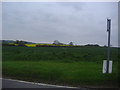 TL5205 : Fields by Blake Hall Road by David Howard