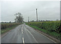 Banbury Lane south of Thorpe Lodge Farm