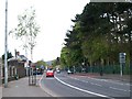 View west along the Falls Road in the Falls Park area