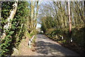 Sunken lane, Stone Street