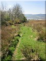 Path along edge of field