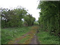 Farm track near the A1