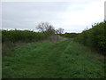 Syke Lane (track) towards Long Bennington