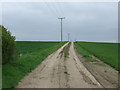 Farm track heading east from Fallow Lane