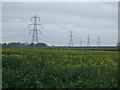 Farmland and pylons off Sewstern Lane