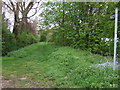 Restricted byway near Allington