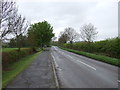 Sedgebrook Road heading south out of Allington