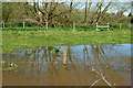 Floods Beside the Cycle Route, Alverstone, Isle of Wight