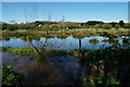 Floods Near Alverstone, Isle of Wight