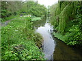 Outflow from lake in Ravensbury Park