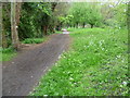 The Wandle Trail in Ravensbury Park