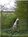 TM3673 : Stream at the entrance to Hillhouse Farm by Geographer