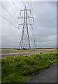 Electricity pylons by Coopers Moss Farm