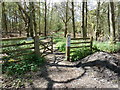 Open gate on the Sussex Border Path