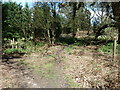 Bridleway to Ripsley Farm