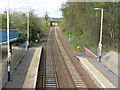 NT1484 : Looking west from Dalgety Bay Halt by M J Richardson