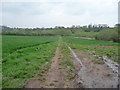 Footpath towards the River Severn