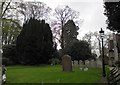 St Peter, Farnborough: churchyard (1)