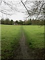 Footpath to Adlers Lane