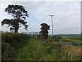 Footpath past allotments at Shepton Beauchamp 