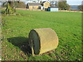 Stone  Roller  at  the  Cricket  Field