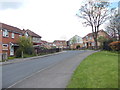 Kingfisher Grove - viewed from Raven Terrace