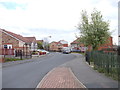 Kingfisher Grove - viewed from Linnet Close