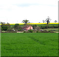 Pink cottage surrounded by fields north of Stanton