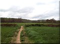 Footpath near Somersall Hall