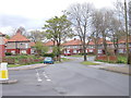 Herschel Road - viewed from Arthur Avenue