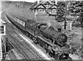 Down WR holiday express passing Cowley Bridge Junction