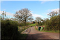 Road to Lower Lodge Farm, Coppleridge, Motcombe, Dorset