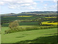 View from High Leys