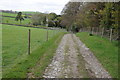 Track beside Church Coppice